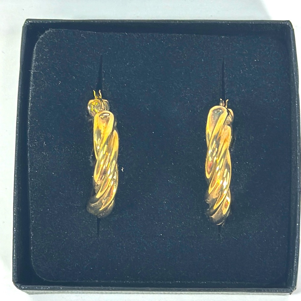 Technibond Gold Twist Earrings